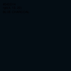 #040D14 - Blue Charcoal Color Image